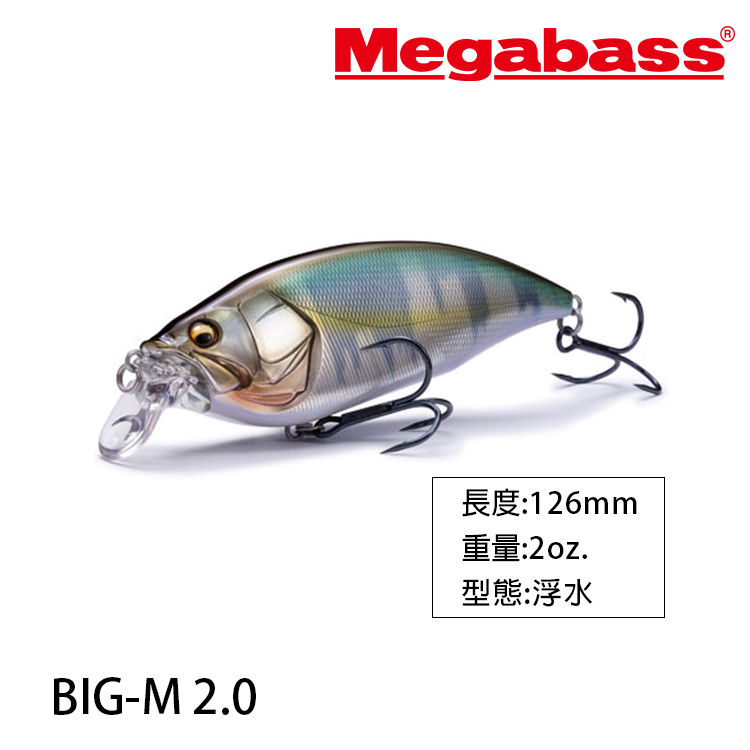 [缺貨]MEGABASS BIG-M 2.0 [路亞硬餌]